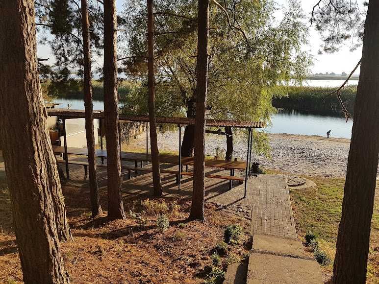 Подобова оренда сучасного будинку на березі Дніпра в сосновому лісі.