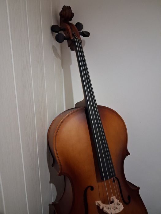 Violoncelo 3/4 com saco