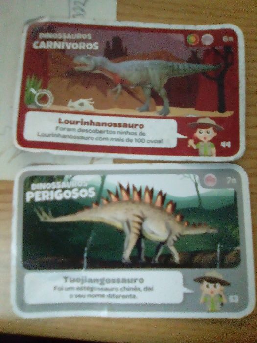 16 Cartas Super Animais