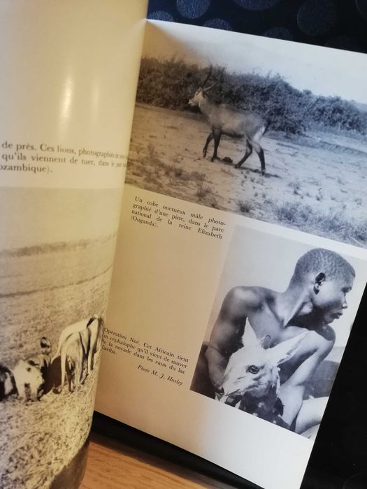 La protection de la grande faune et des habitats naturales en afrque centrale et orientale - Julian Huxley, UNESCO, 1961