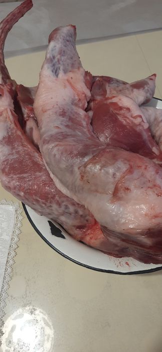 М'ясо нутрії різного віку