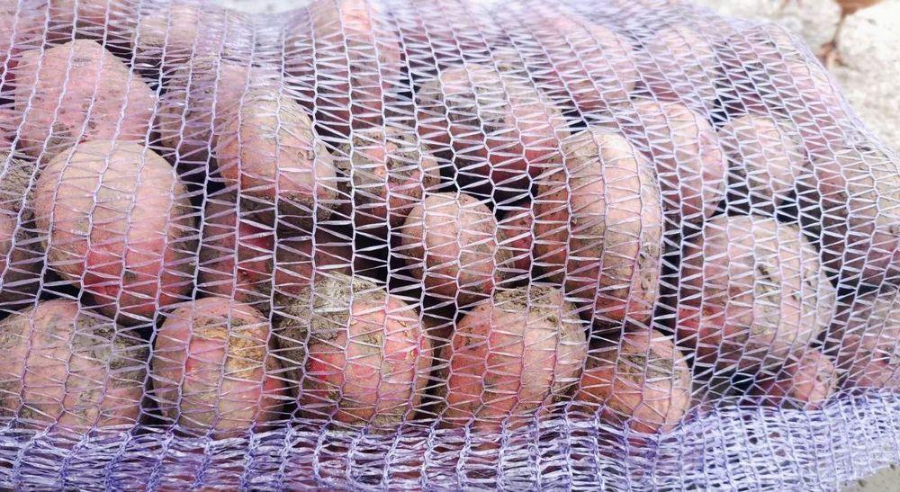 Продам картоплю сорт Аладдін