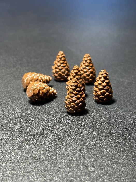 Szyszki znacznik przyrody do gry Kaskadia 25 sztuk druk 3d