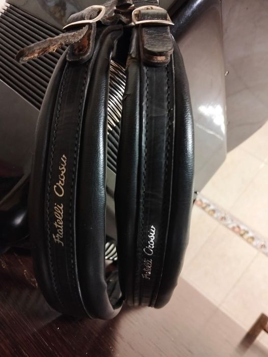 Acordeon fretelli corso