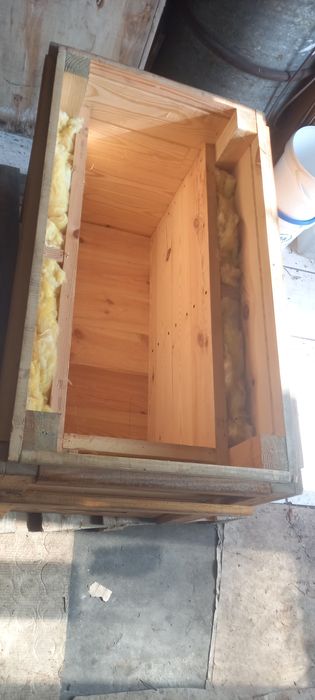 Ule warszawskie poszerzane