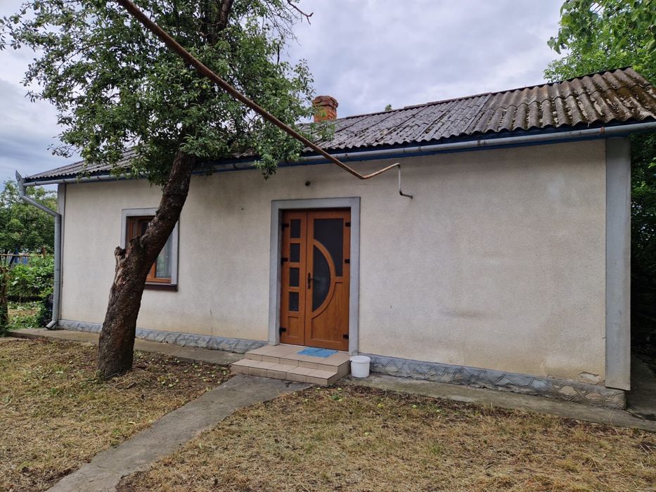 Продається господарство в селі Оршівці Чернівецької області