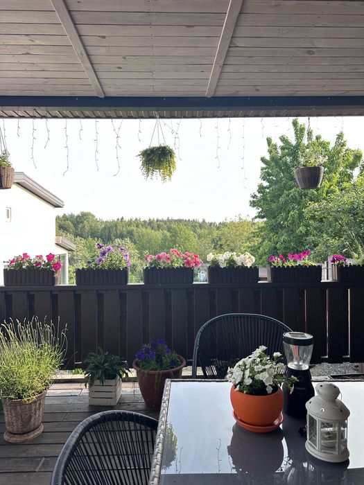 Продаж 2 будинків в мальовничому Свидівку з ремонтом та лазнею