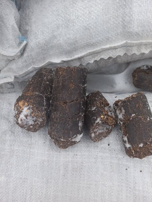 Продам топливные брикеты