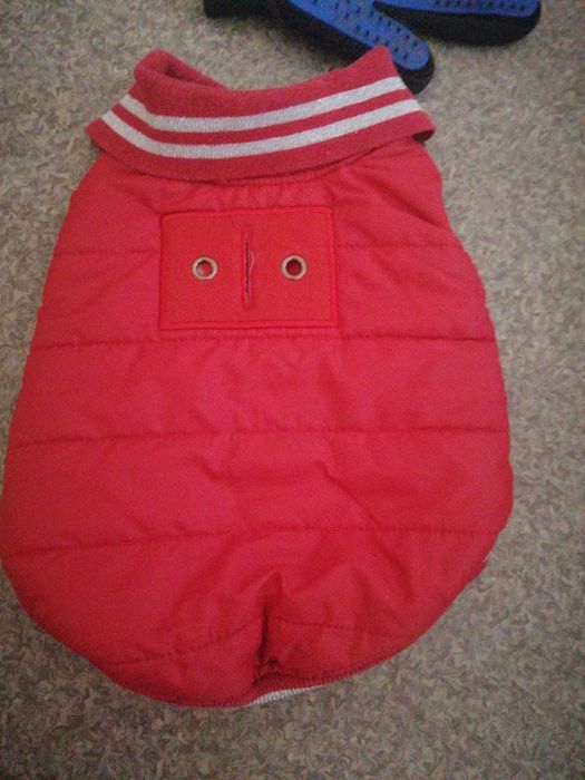 Комбинезон для собаки