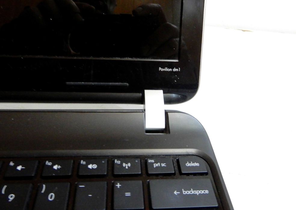 HP PAVILION dm1  Win 10