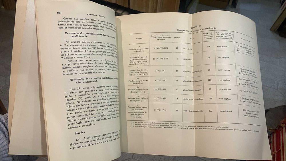 Antibióticos, vitaminas no desenvolvimento do Hylotrupes Bajulus