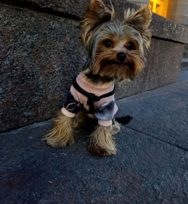 Шукаю наречену!!!