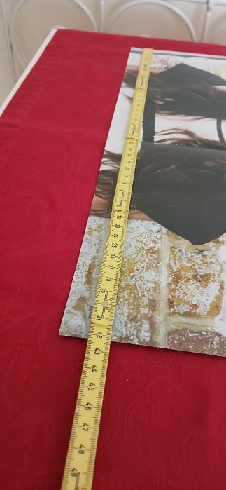 Poster Amy McDonald/Black Eyed Peas