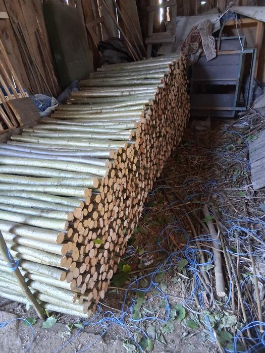 Wyroby z leszczyny panele,plotki.