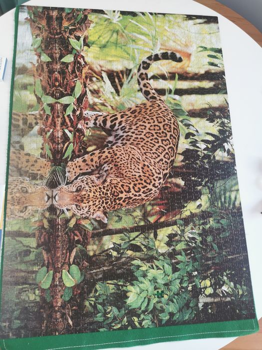 Puzzle 1000, 1500 e 2000 peças