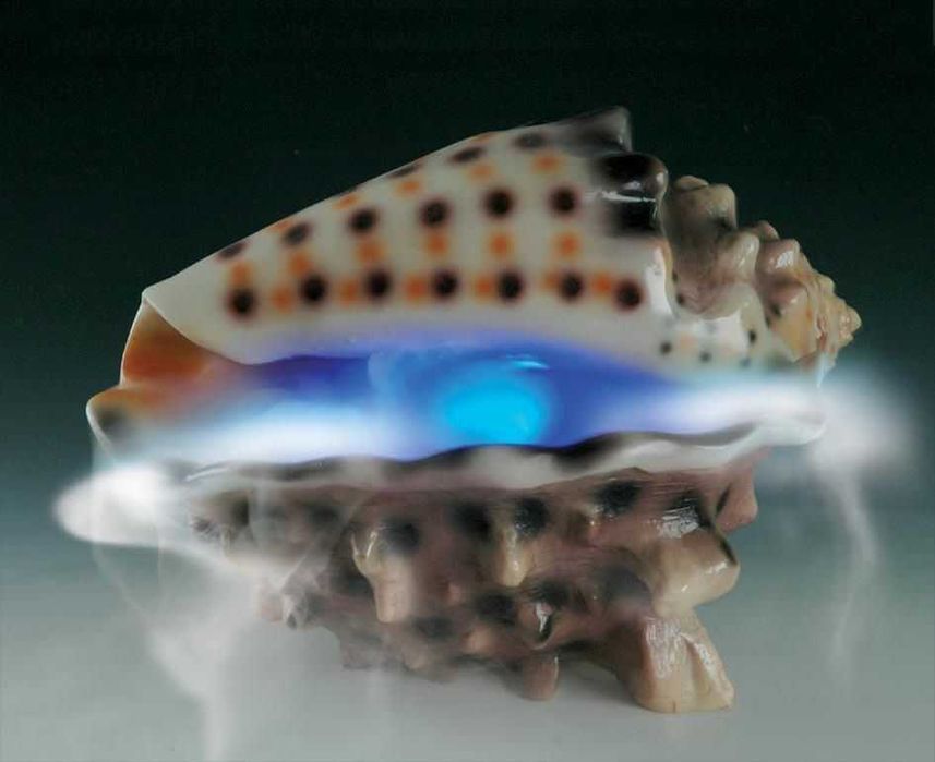 Nawilżacz Powietrza w Kształcie Muszli Generator Pary Powystawowy!