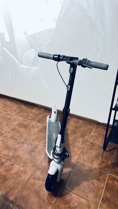 Kickscooter ninebot max g30