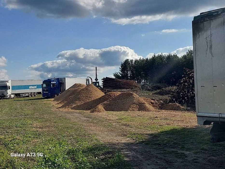 Щепа суха  хвоя ( сухостій)