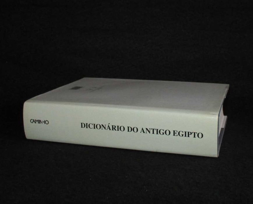 Livro Dicionário do Antigo Egipto Luís Manuel de Araújo
