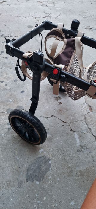 Cadeira de rodas para cão