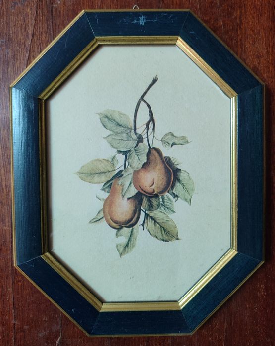 Conjunto de 4 quadros pequenos com frutas