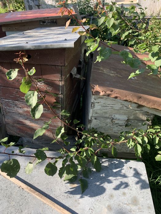 Продам ульи для пчёл, вулики