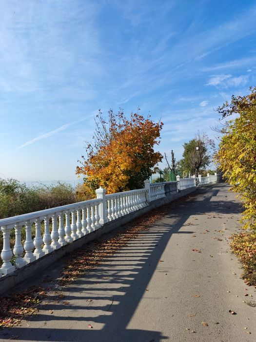 Свободна на НГ Крыжановка Пос.Котовского возле моря почасово, посуточн