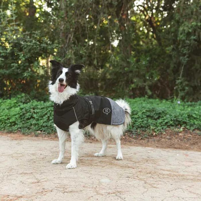 Nomad Tales Bloom płaszcz dla psa, czarny