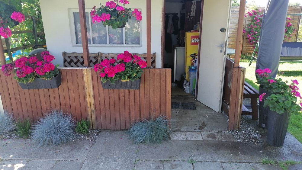 Ogródek działkowy na "Rod Oaza"