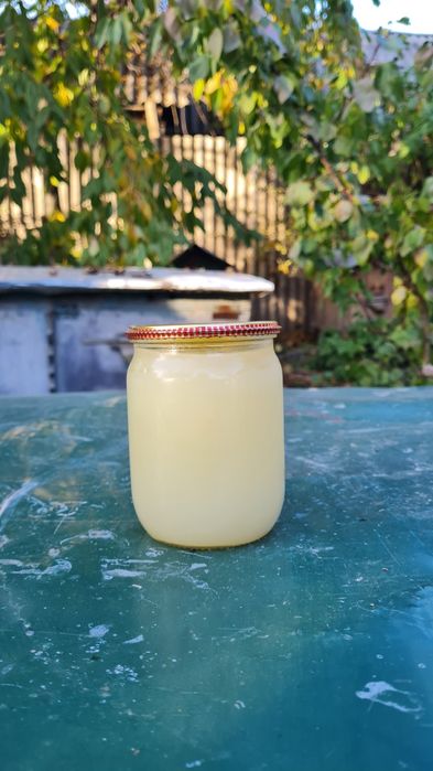 Борсуковий жир. Жир. Борсуковий