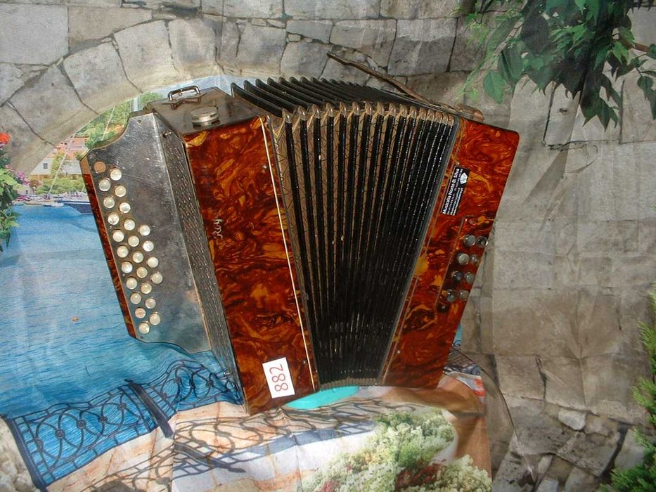 Concertina para venda N, 882