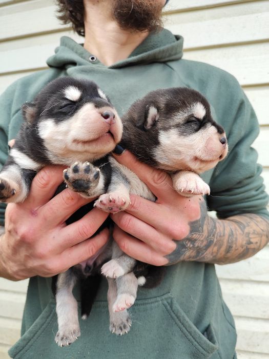 Ростемо! В наявності вік різний