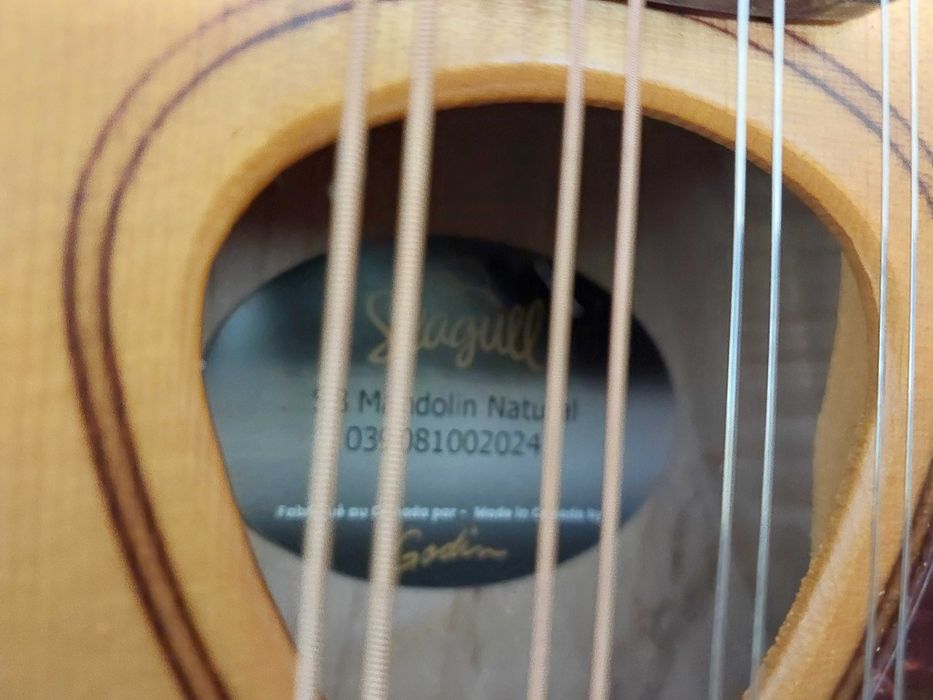Mandolina Seagull Godin S8 Natural + futerał