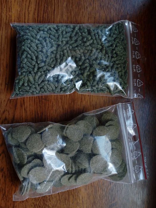 Spirulina dla rybek, krewetek