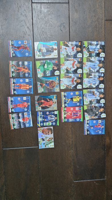 Karty kolekcjonerskie FIFA Panini