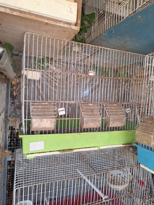 Cedência de gaiolas