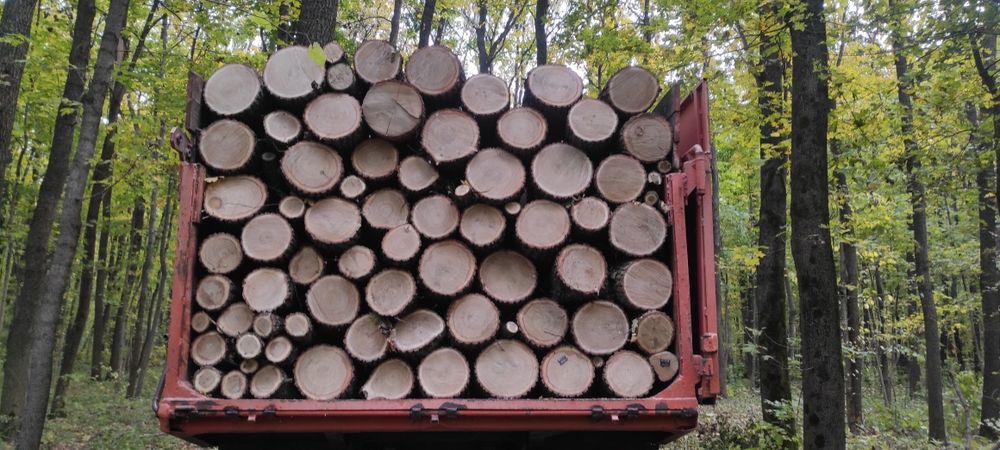 ДРОВА поколоті та в пиночках