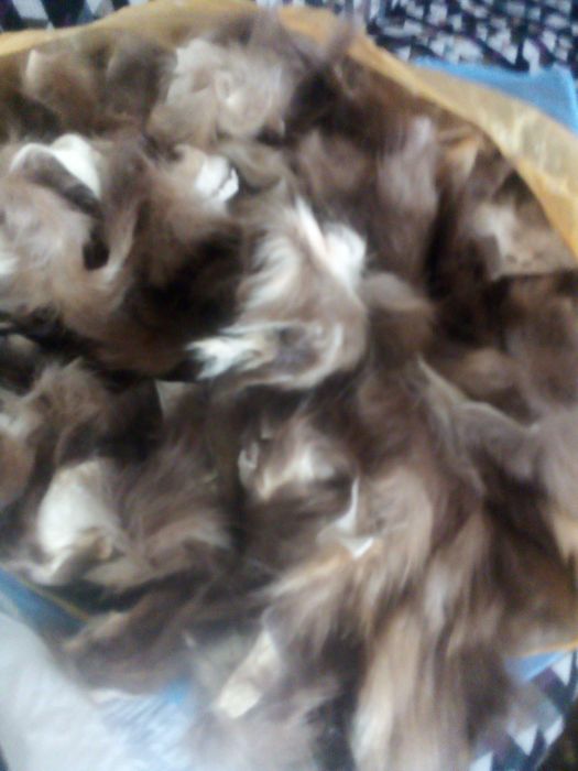 Шкури шкурки обрізь куниця лісова