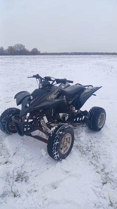 Квадроцкл шенрей 250