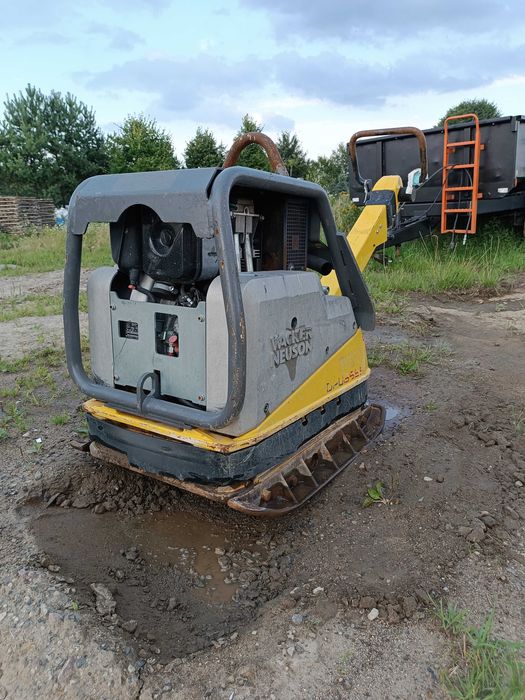 Zagęszczarka Wacker Neuson DPU 6555