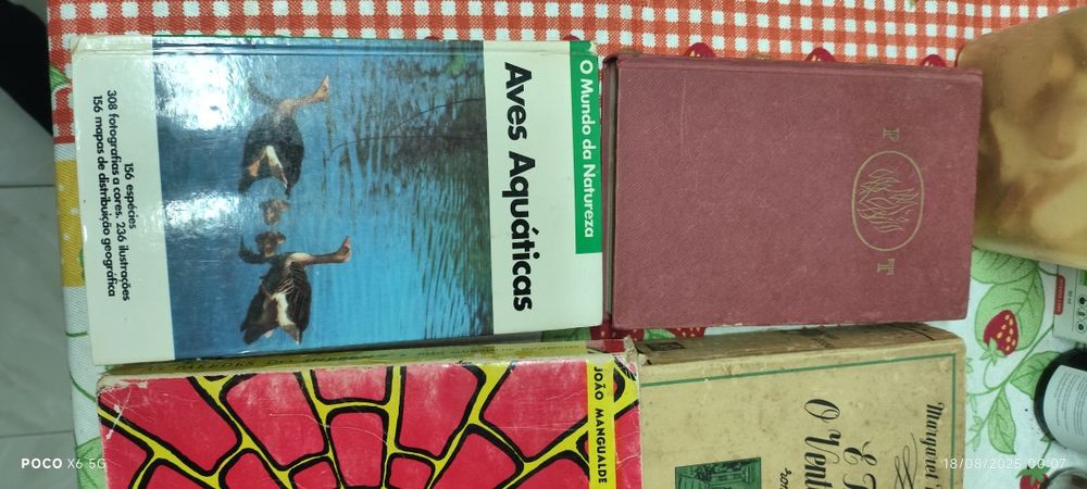 Lote variado de livros, para todos os gostos