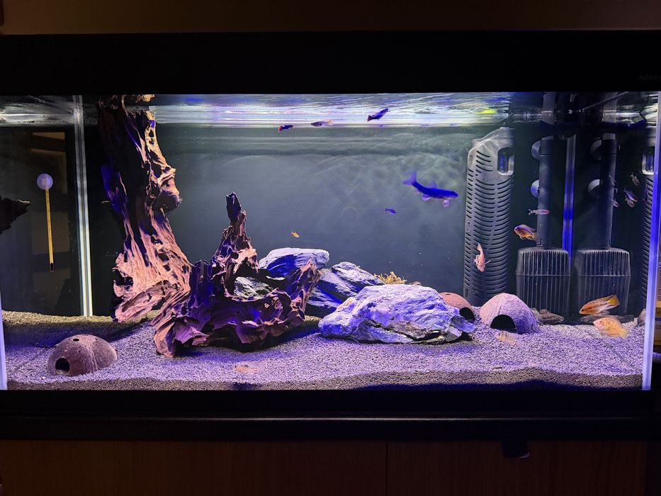 Akwarium optiwhite 200l