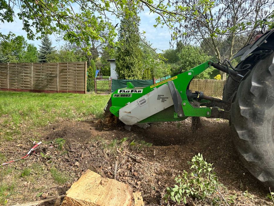 Usługa mulczowania i wycinka drzew (mulczer leśny, frezarka do pni)