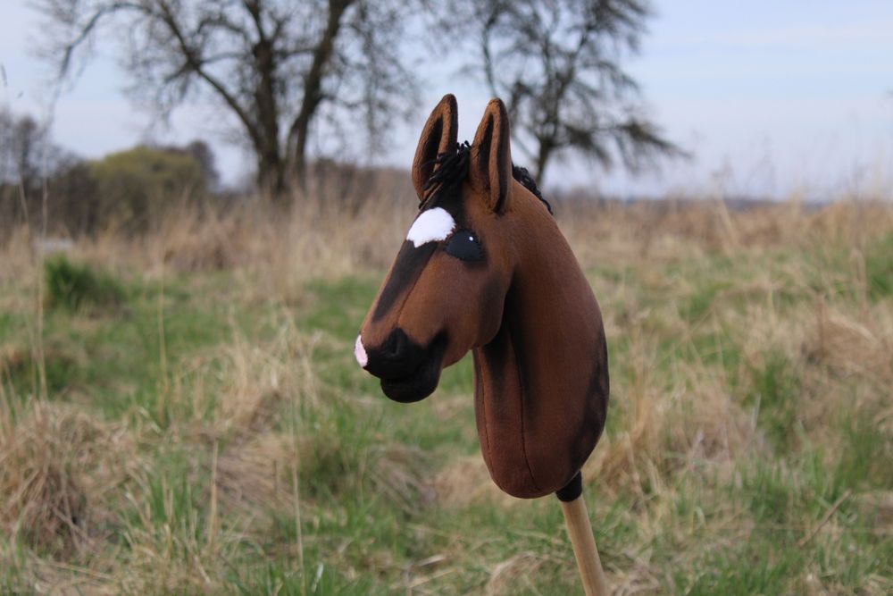 hobby horse gniady Le Pectus