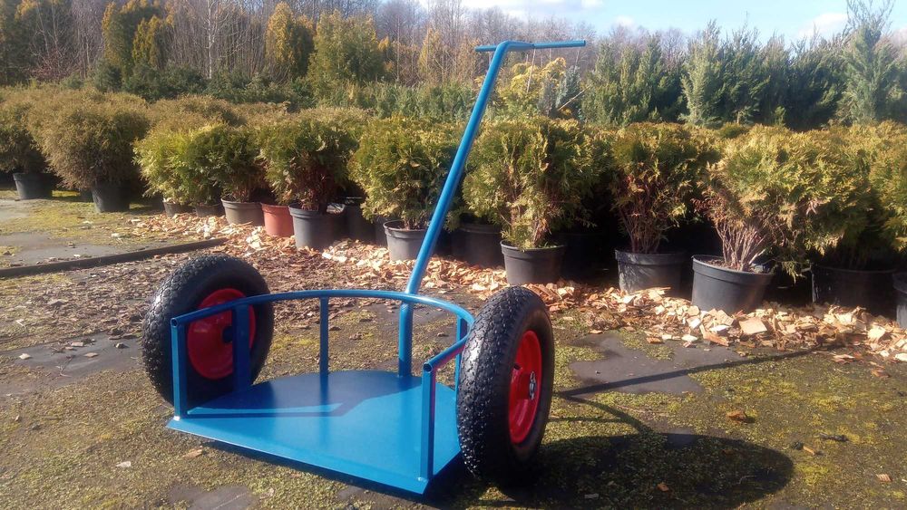 Wózek transportowy ogrodniczy, donice, pojemniki, narzędzia ogrodnicze
