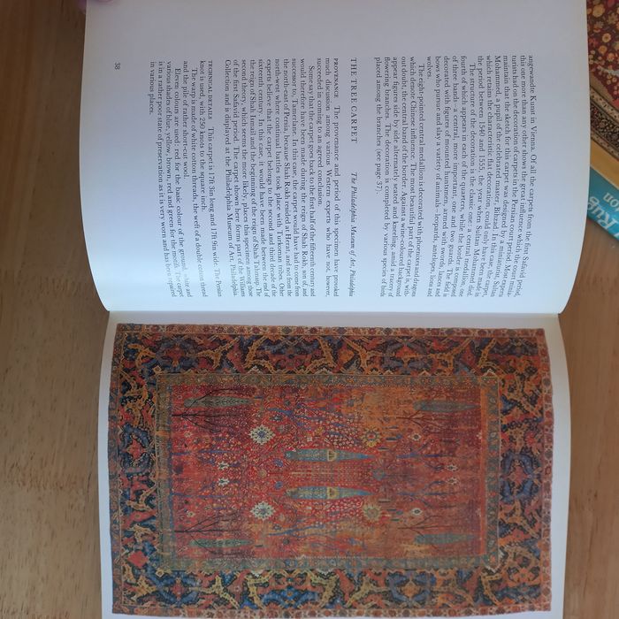 Oriental Rugs and Carpets Fabio Formenton