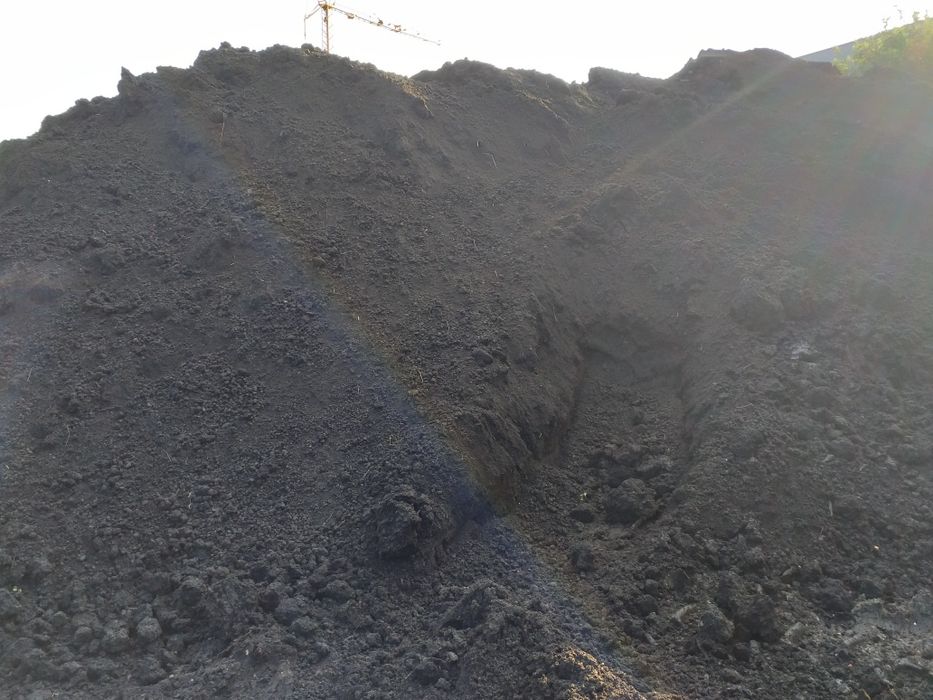 Czarna  Ziemia siana