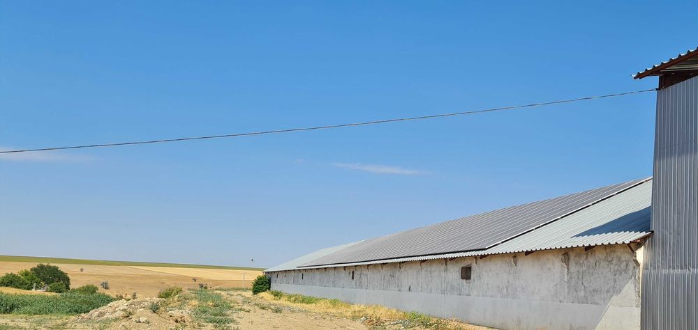 Продається ферма в  Новоодеському районі. Без комісії