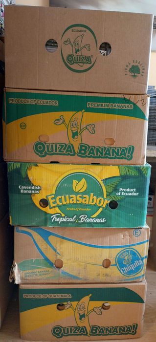 Płyty CD 5 kartonów 1100 sztuk