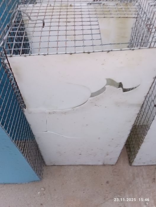 Tanio klatka dla królika królików gryzoni gołebi itp